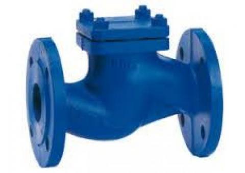 CHECK VALVES SUPPLIERS IN KOLKATA